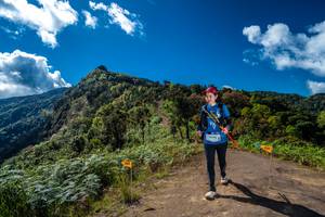 BIB: 4395, 
                            <button type="button" onclick="openModal(19039342)" class="btn btn-primary btn-sm float-right btn-popup" data-toggle="modal" data-target=".modal-high-quality">
                        <i class="fas fa-shopping-cart"></i> Add to Cart
                    </button>
                                            <button type="button" onclick="isThisMe(19039342, true)" class="btn btn-success btn-sm float-right btn-popup btn-isme hidden" data-toggle="tooltip" data-placement="bottom" title="นี่คือรูปของคุณใช่ไหม คลิกที่นี่เพื่อเอาเข้าอัลบั้ม">
                        <i class="fas fa-plus"></i> Add to album
                    </button>
                    <button type="button" onclick="isThisMe(19039342, false)" class="btn btn-warning btn-sm float-right btn-popup btn-isnotme hidden">
                        <i class="fas fa-ban"></i> Remove from album
                    </button>